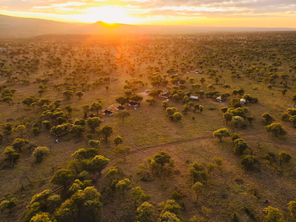 Golden Safari Camp Serengeti
