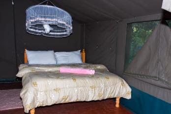 Single Tent