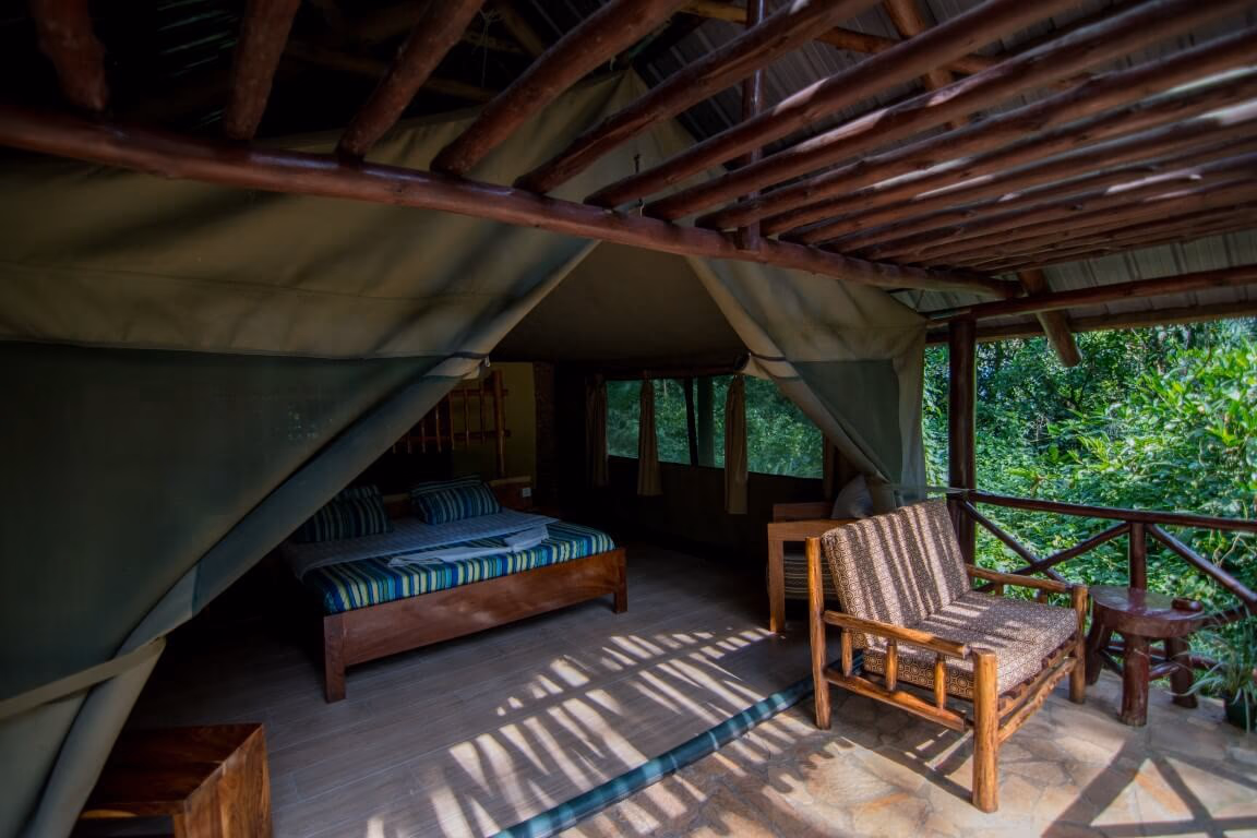 Family Safari Tent