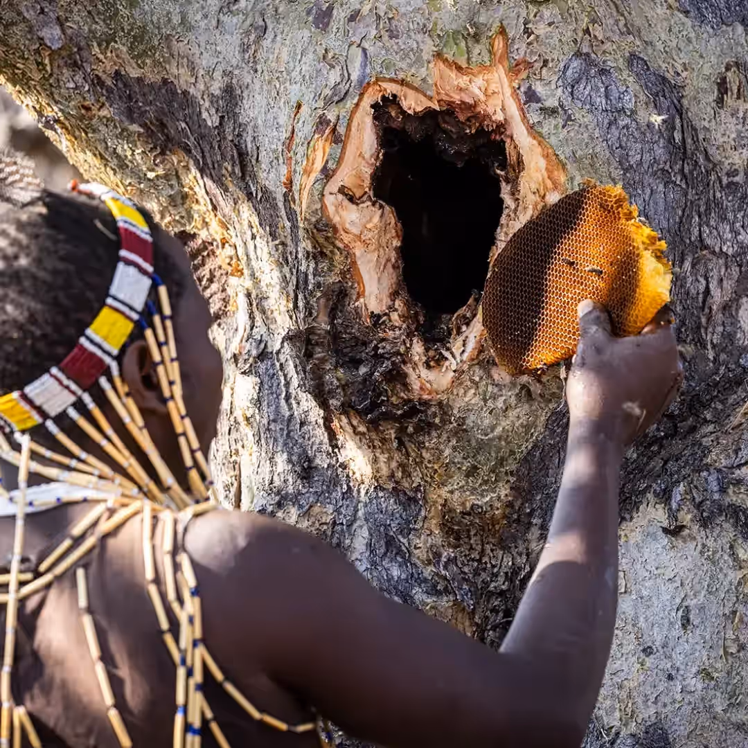 Hadzabe & Datoga Cultural Visit