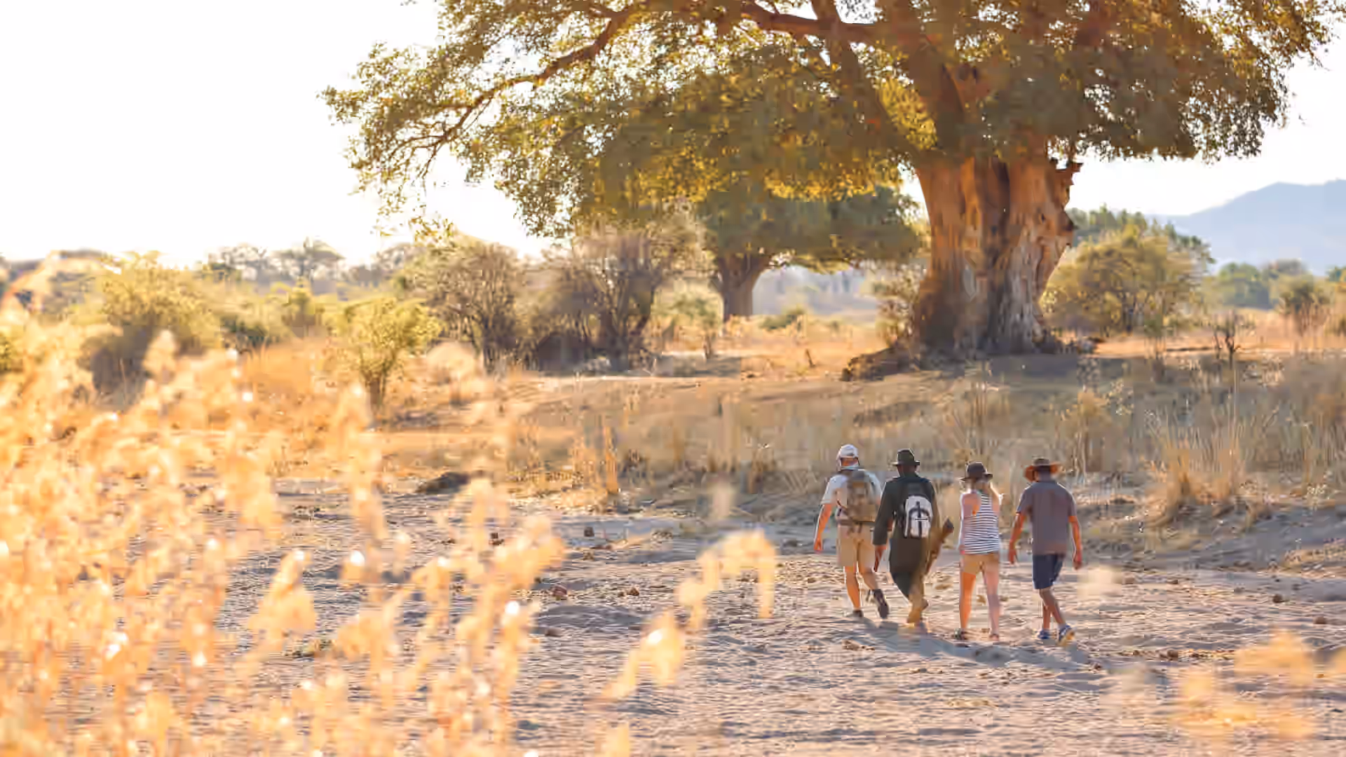 Guided Walking Safari
