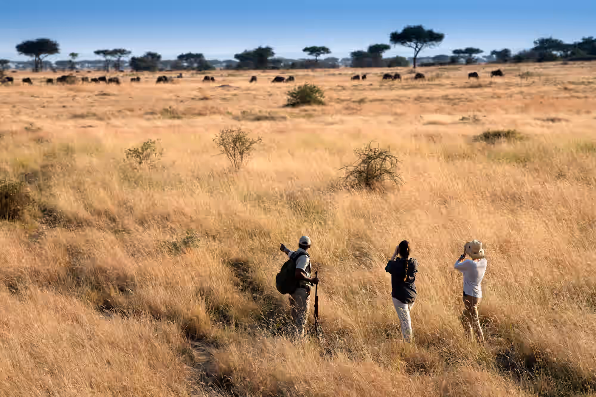 Walking Safari In Serengeti National Park