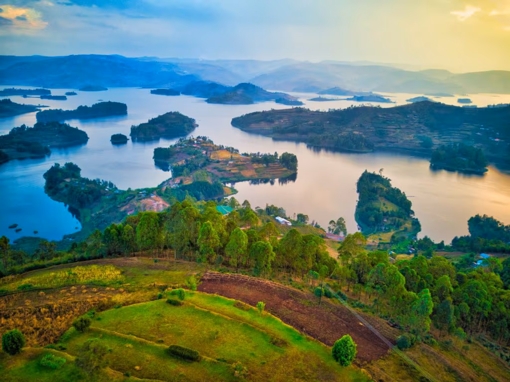 4-Day Uganda Primates Safari: Gorillas, Chimps & Lake Bunyonyi Retreat